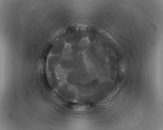 X0000113080661200909250950