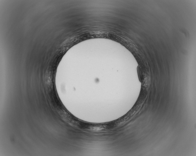 X0000113080662200909250950