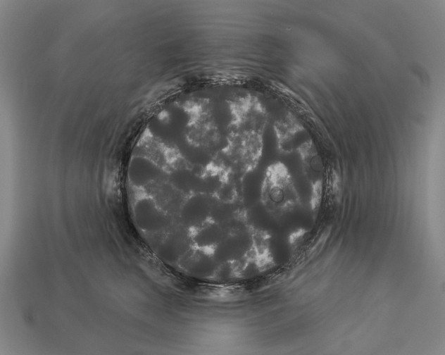 X0000113080663200909250950