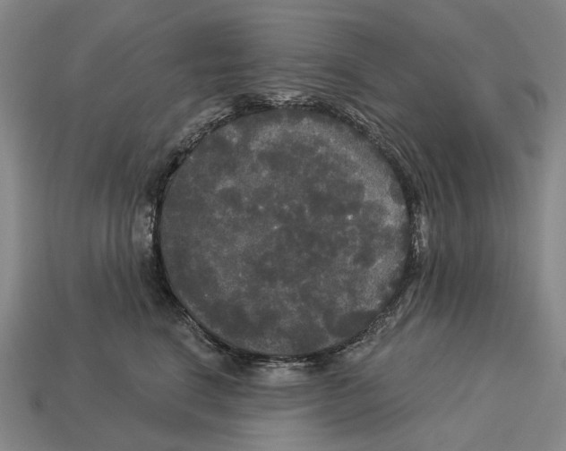 X0000113080664200909250950