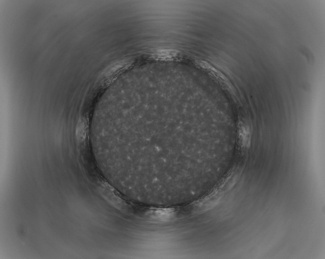 X0000113080665200909250950