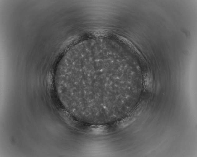 X0000113080667200909250950
