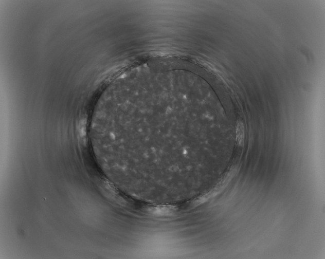 X0000113080670200909250950
