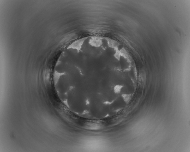 X0000113080671200909250950