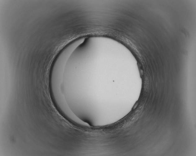 X0000113080673200909250950