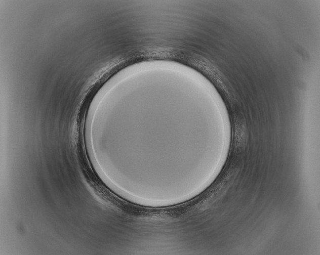 X0000113080674200909250950