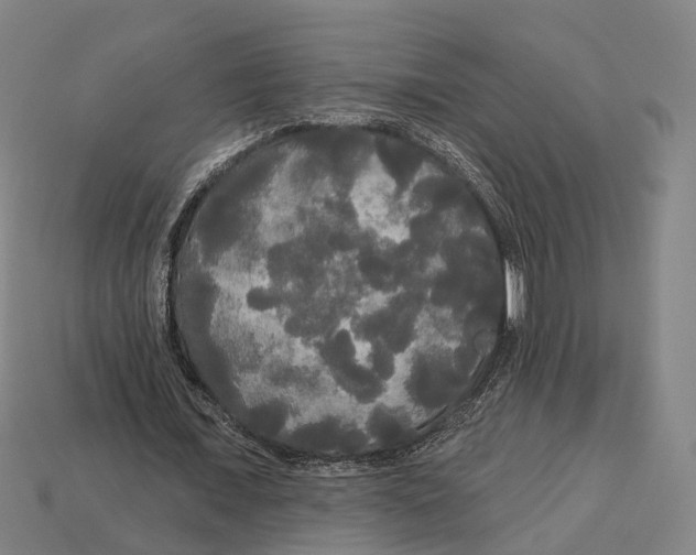 X0000113080675200909250950