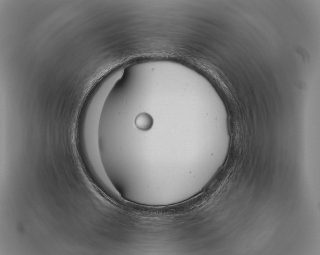 X0000113080677200909250950