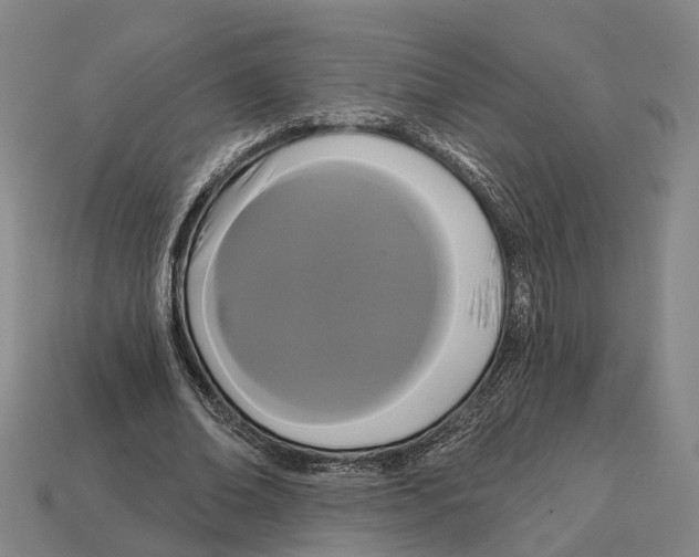 X0000113080678200909250950