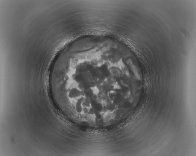 X0000113080679200909250950