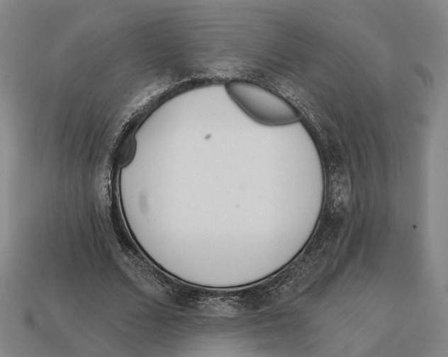 X0000113080680200909250950