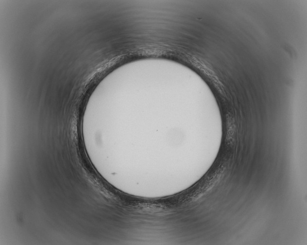 X0000113080681200909250950