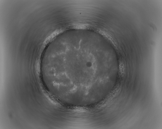 X0000113080682200909250950