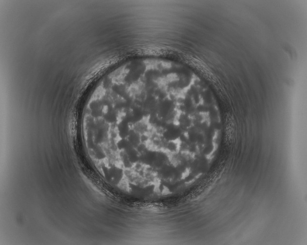 X0000113080683200909250950
