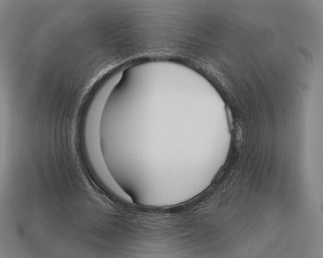 X0000113080684200909250950