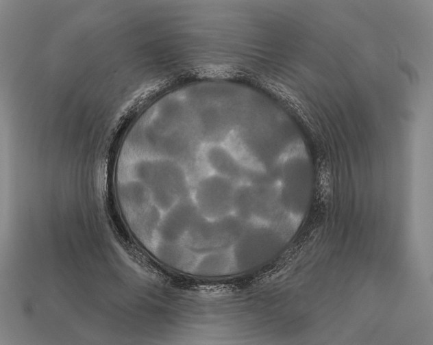 X0000113080686200909250950