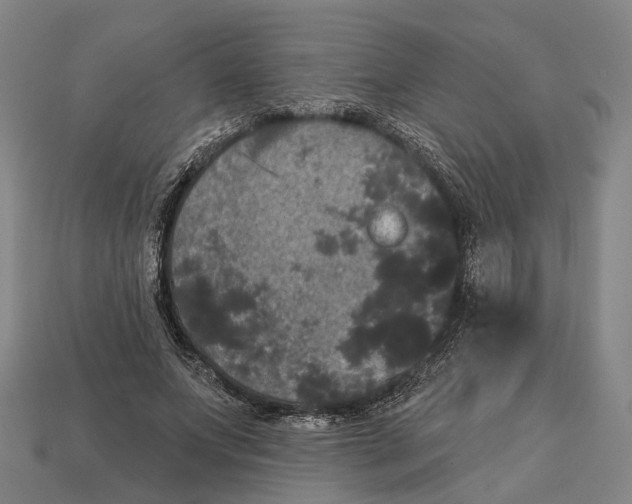 X0000113080687200909250950