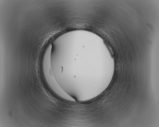 X0000113080688200909250950
