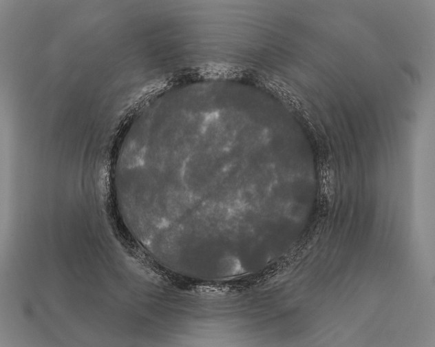 X0000113080690200909250950
