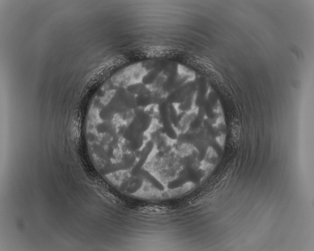 X0000113080691200909250950