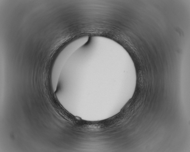X0000113080692200909250950