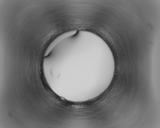 X0000113080693200909250950