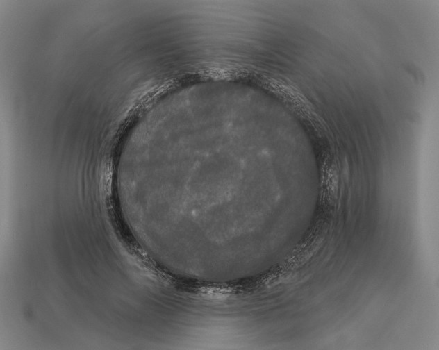 X0000113080694200909250950