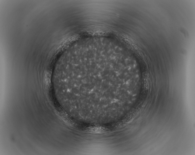 X0000113080695200909250950