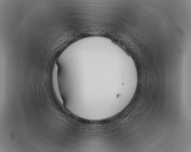 X0000113080696200909250950