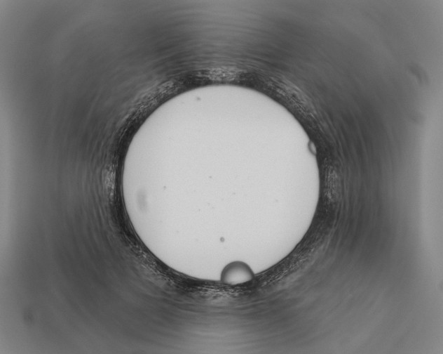 X0000113080697200909250950