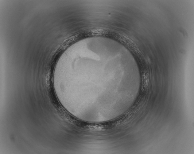X0000113080698200909250950