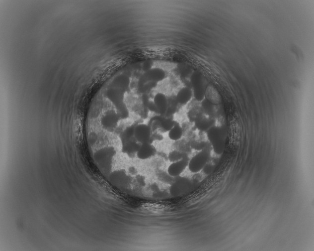 X0000113080699200909250950