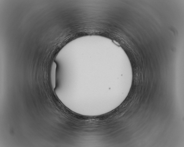 X0000113080700200909250950
