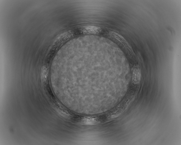 X0000113080701200909250950