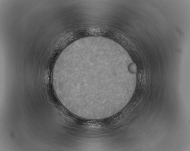 X0000113080702200909250949