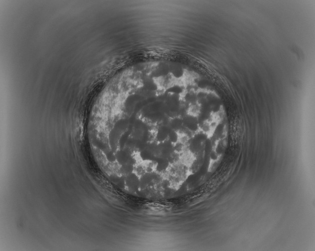 X0000113080703200909250949