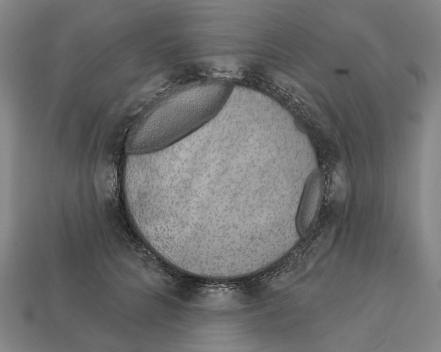 X0000113080704200909250949