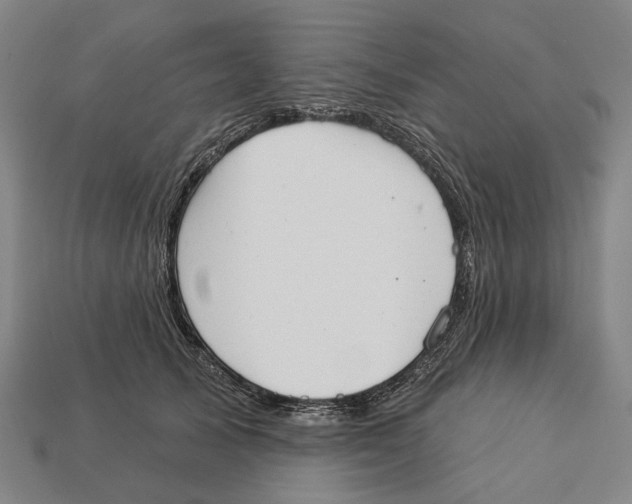 X0000113080705200909250949