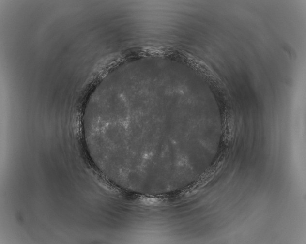 X0000113080706200909250949