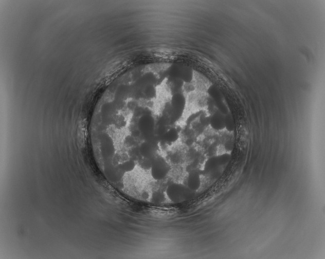 X0000113080707200909250949