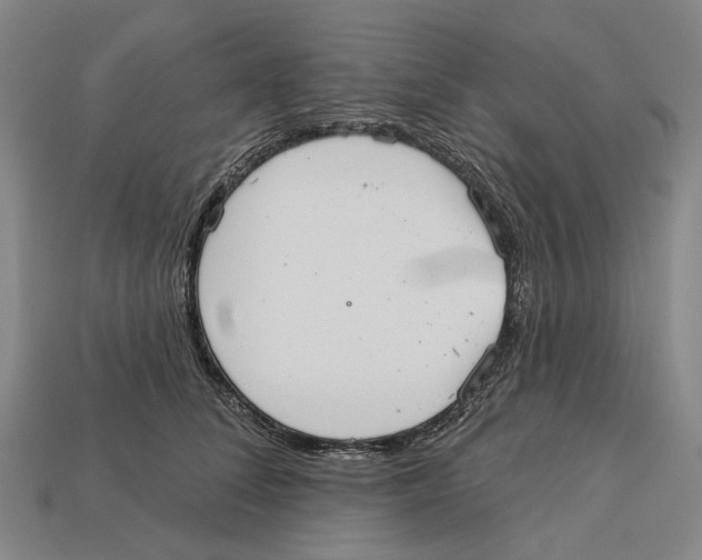 X0000113080708200909250949