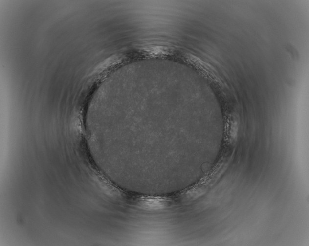 X0000113080710200909250949