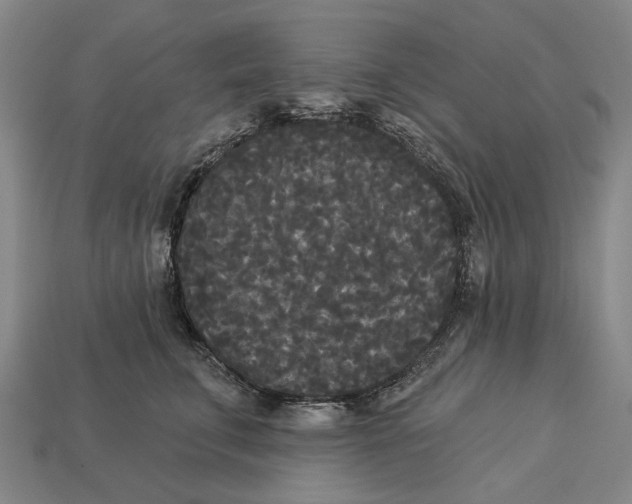 X0000113080711200909250949