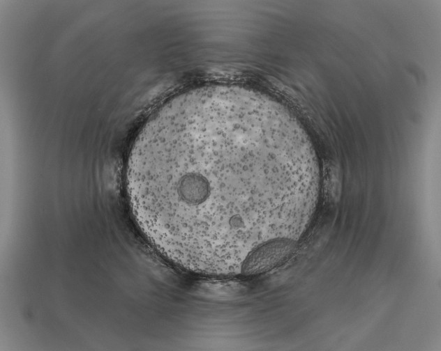 X0000113080712200909250949