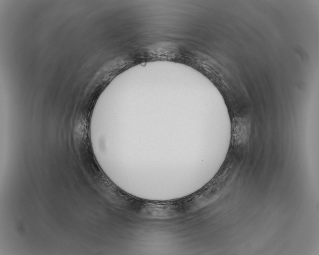 X0000113080713200909250949