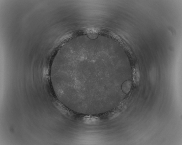X0000113080714200909250949