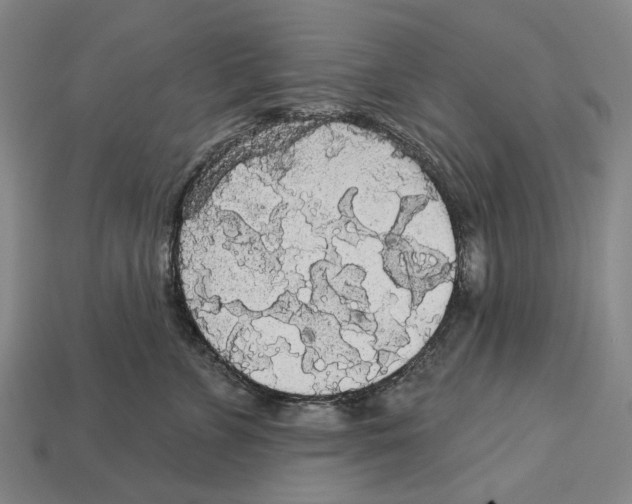 X0000113080715200909250949