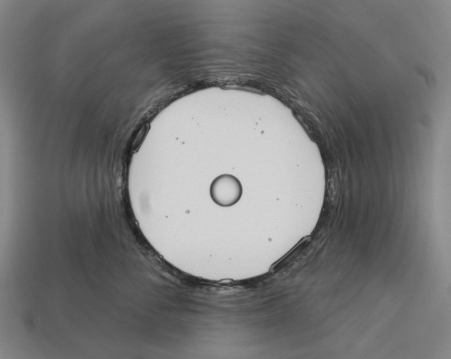 X0000113080716200909250949