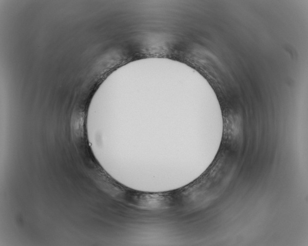 X0000113080717200909250949
