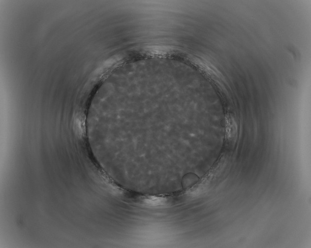 X0000113080718200909250949